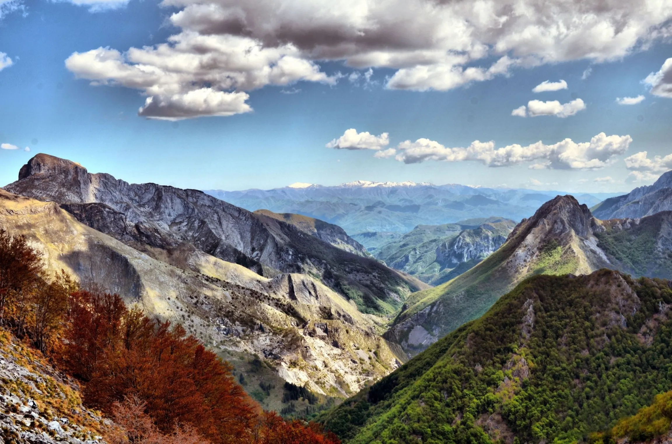 Paesaggio d'Autore